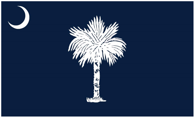 Proposed state flag design: Option A